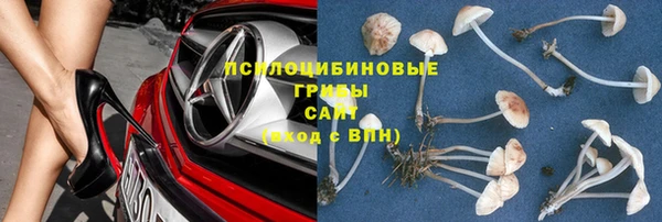 mix Белокуриха