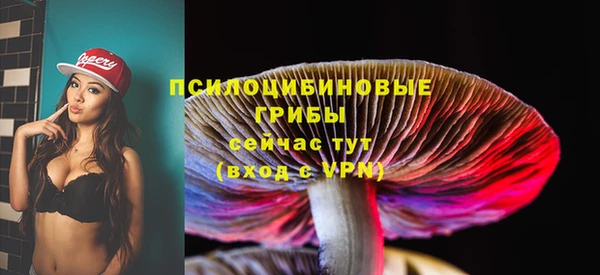 mix Белокуриха