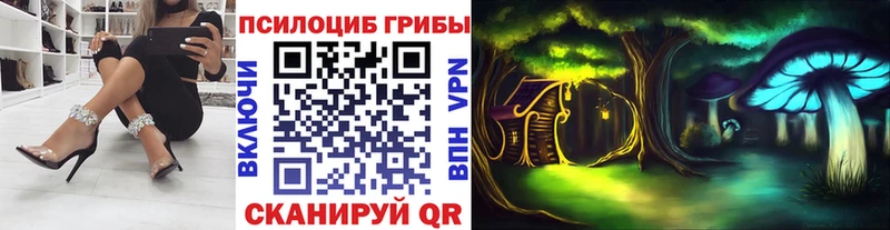 цены наркотик  Лермонтов  Галлюциногенные грибы Psilocybine cubensis 